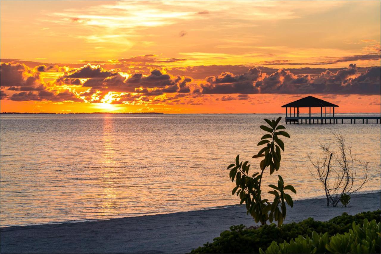 South Palm Resort Maldives With First-Ever Floating Spa Addu City Eksteriør billede